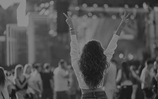 Concert & Festival Organisers