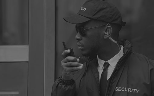 Door Security & Supervisors